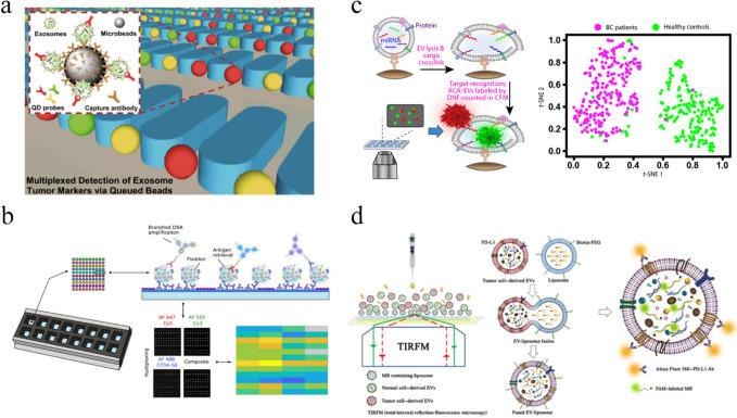 https://cdn.ncbi.nlm.nih.gov/pmc/blobs/4875/12188404/ef527e6186d2/pc4c00096_0006.jpg
