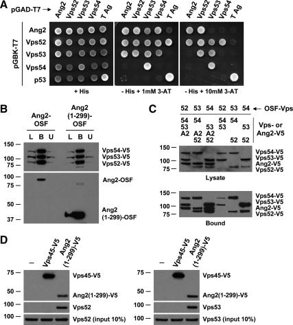 https://cdn.ncbi.nlm.nih.gov/pmc/blobs/4876/2947474/05e84b57c147/zmk0191095850002.jpg