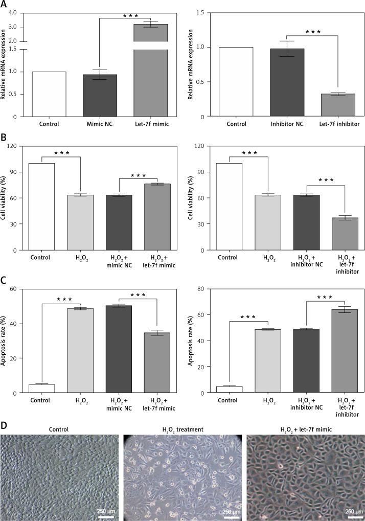 https://cdn.ncbi.nlm.nih.gov/pmc/blobs/487a/12087342/5a99fdec2603/AMS-21-2-118725-g003.jpg