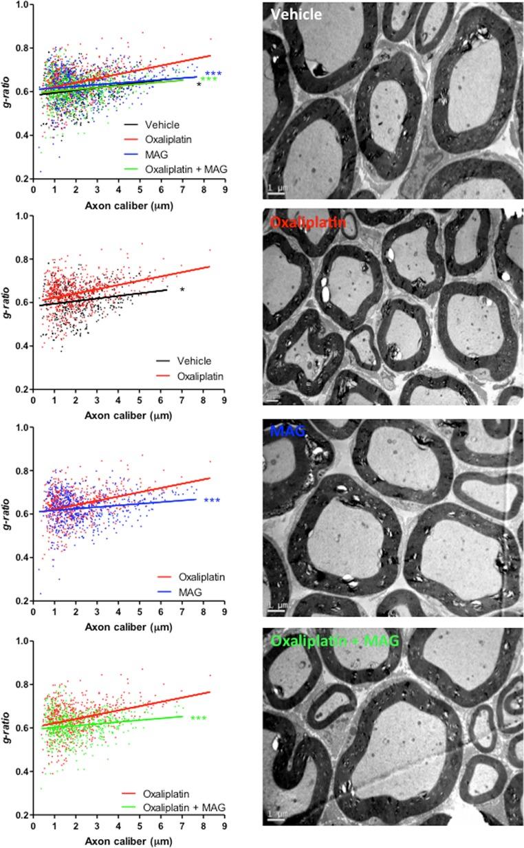 https://cdn.ncbi.nlm.nih.gov/pmc/blobs/487a/6849645/c672acb7e1a1/oncotarget-10-6418-g005.jpg