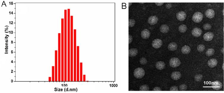 https://cdn.ncbi.nlm.nih.gov/pmc/blobs/487b/7066043/5681ede42da9/gr2.jpg