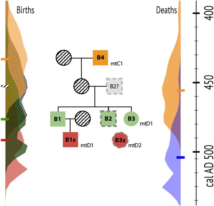https://cdn.ncbi.nlm.nih.gov/pmc/blobs/487c/11725780/d7d0a8204144/pnas.2416321121fig04.jpg