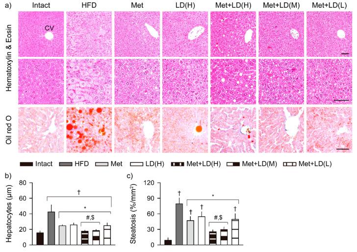 https://cdn.ncbi.nlm.nih.gov/pmc/blobs/487d/8945168/e687eccd880e/antioxidants-11-00580-g007.jpg