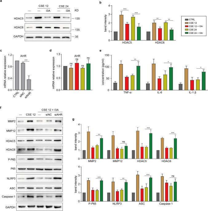 https://cdn.ncbi.nlm.nih.gov/pmc/blobs/487e/11799038/200863dbd8af/109_2024_2506_Fig6_HTML.jpg