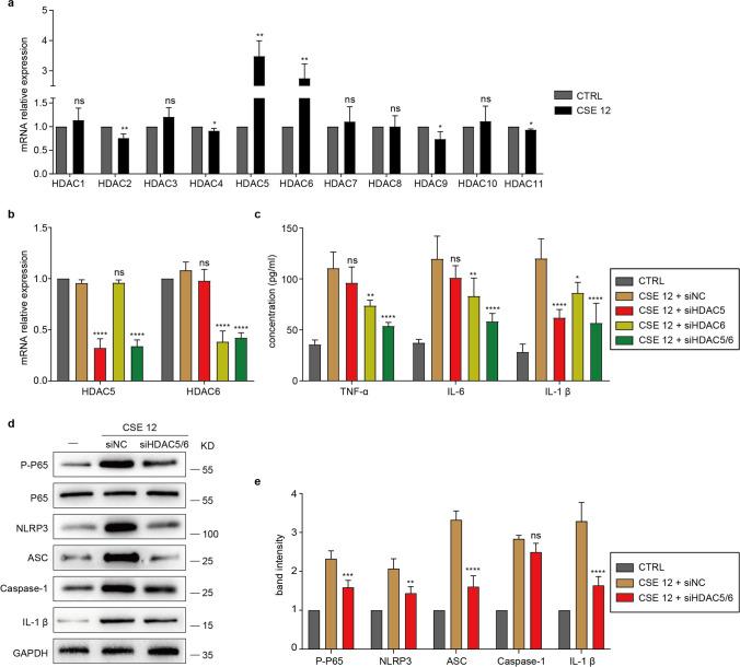 https://cdn.ncbi.nlm.nih.gov/pmc/blobs/487e/11799038/300e7d8f62ca/109_2024_2506_Fig5_HTML.jpg