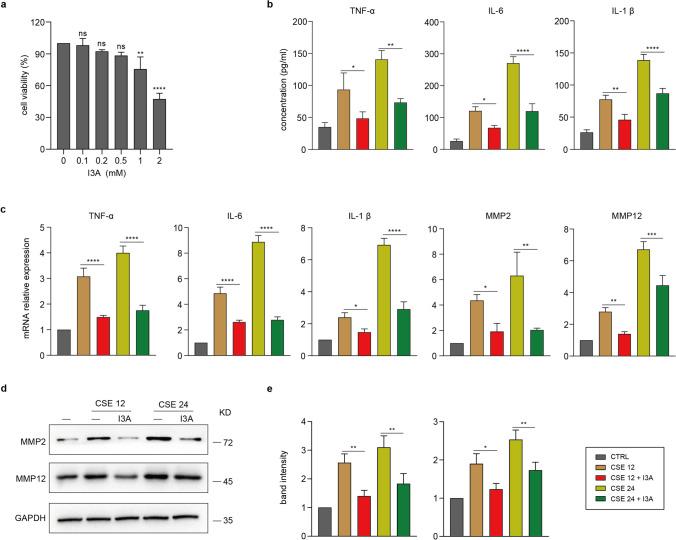 https://cdn.ncbi.nlm.nih.gov/pmc/blobs/487e/11799038/4f9f61930bec/109_2024_2506_Fig2_HTML.jpg
