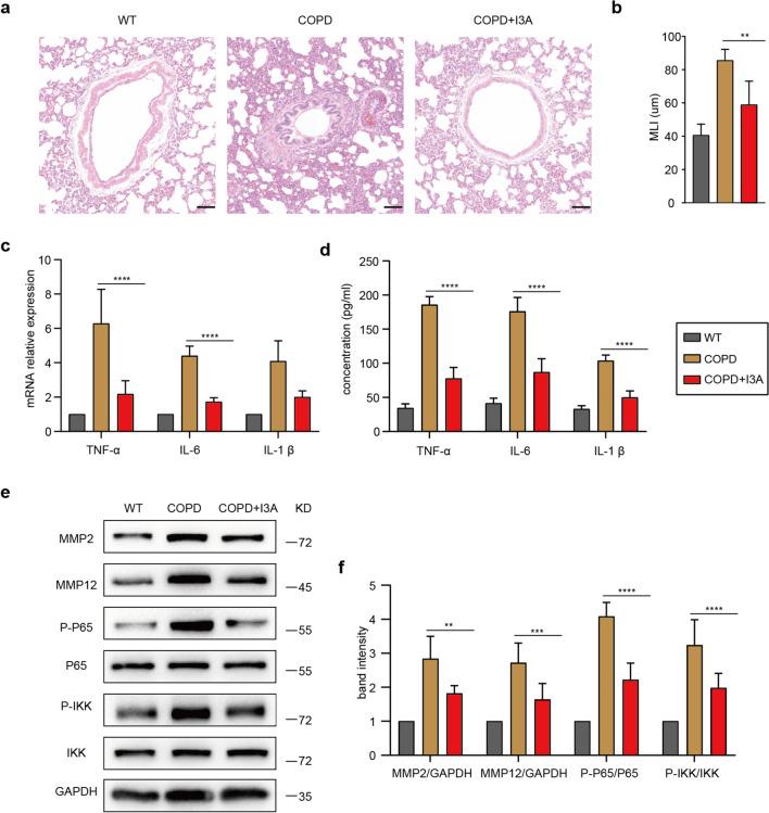 https://cdn.ncbi.nlm.nih.gov/pmc/blobs/487e/11799038/91e24a4397f8/109_2024_2506_Fig1_HTML.jpg