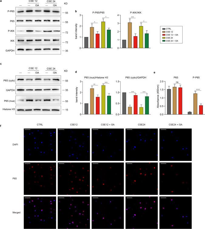 https://cdn.ncbi.nlm.nih.gov/pmc/blobs/487e/11799038/fbec01d1c1be/109_2024_2506_Fig3_HTML.jpg