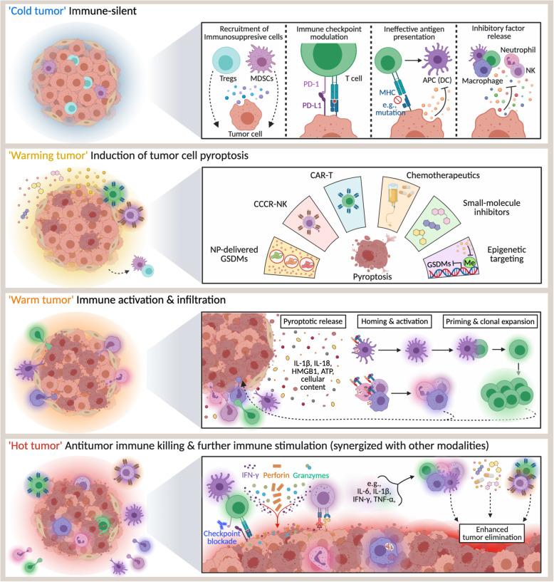 https://cdn.ncbi.nlm.nih.gov/pmc/blobs/4880/8383365/fc2c8c754e32/13046_2021_2065_Fig2_HTML.jpg