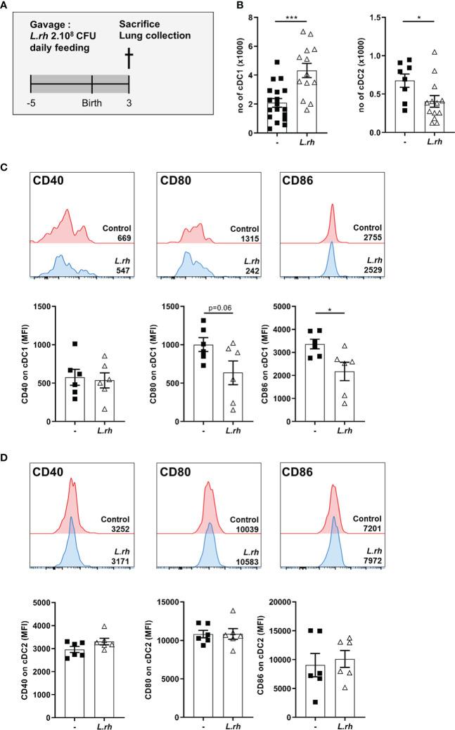 https://cdn.ncbi.nlm.nih.gov/pmc/blobs/4880/9847498/77065a4e0a22/fimmu-13-1082648-g004.jpg