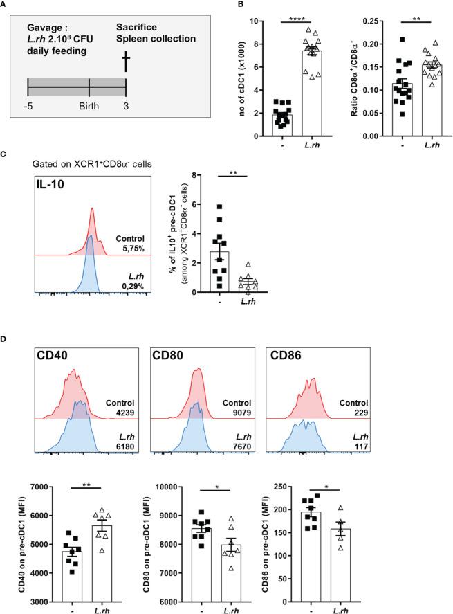 https://cdn.ncbi.nlm.nih.gov/pmc/blobs/4880/9847498/fd7e8939b641/fimmu-13-1082648-g002.jpg
