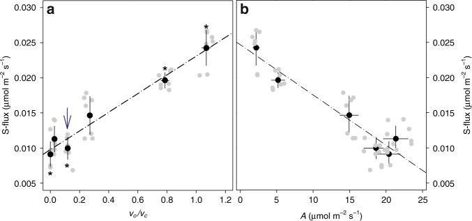 https://cdn.ncbi.nlm.nih.gov/pmc/blobs/4881/6795801/438c2e5ddb91/42003_2019_616_Fig3_HTML.jpg