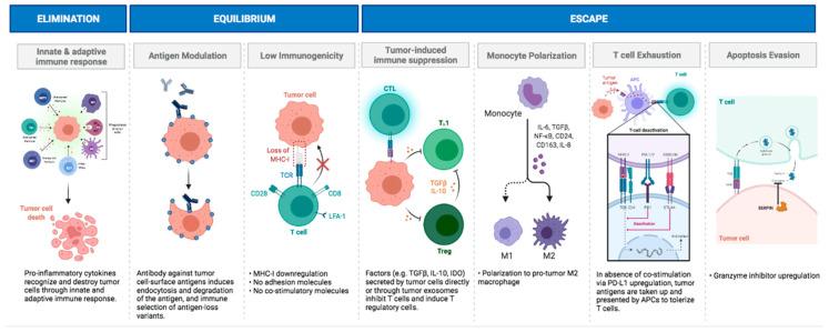 https://cdn.ncbi.nlm.nih.gov/pmc/blobs/4883/10377457/cb676890b688/cancers-15-03655-g002.jpg