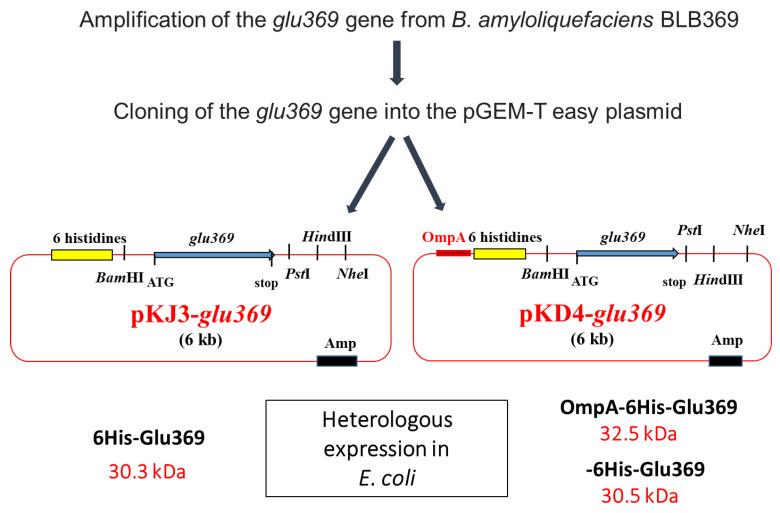 https://cdn.ncbi.nlm.nih.gov/pmc/blobs/4883/10536829/218b7c550b0f/microorganisms-11-02215-g003.jpg