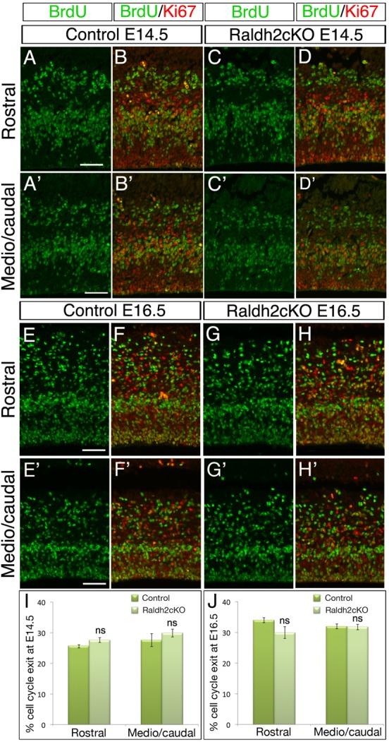 https://cdn.ncbi.nlm.nih.gov/pmc/blobs/4884/5312094/90b5b053c375/biolopen-6-021063-g6.jpg