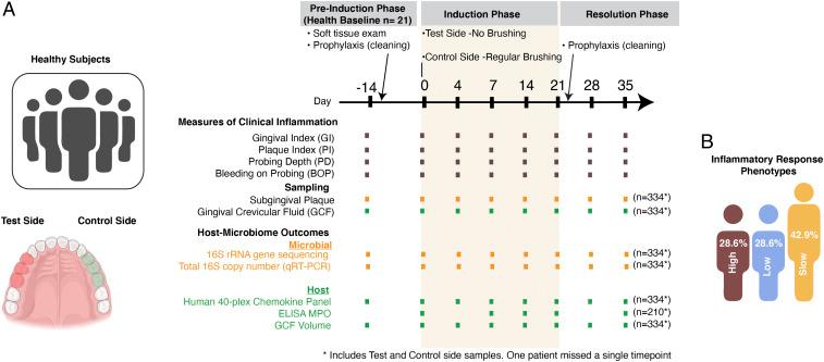 https://cdn.ncbi.nlm.nih.gov/pmc/blobs/4886/8271746/cbb3997117b4/pnas.2012578118fig01.jpg