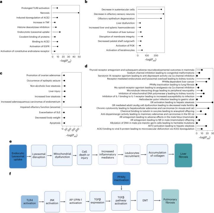 https://cdn.ncbi.nlm.nih.gov/pmc/blobs/4889/10427433/649be1a4089c/41565_2023_1393_Fig5_HTML.jpg