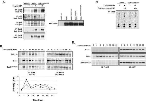 https://cdn.ncbi.nlm.nih.gov/pmc/blobs/4889/534114/aaad59f21980/1741-7007-2-24-2.jpg
