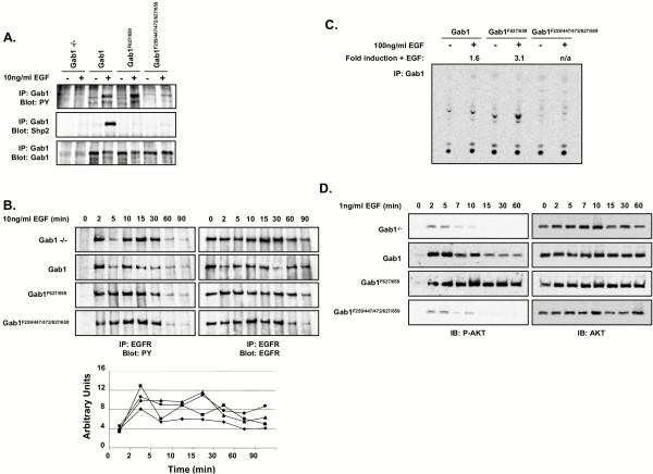 https://cdn.ncbi.nlm.nih.gov/pmc/blobs/4889/534114/d326cbb381c8/1741-7007-2-24-3.jpg