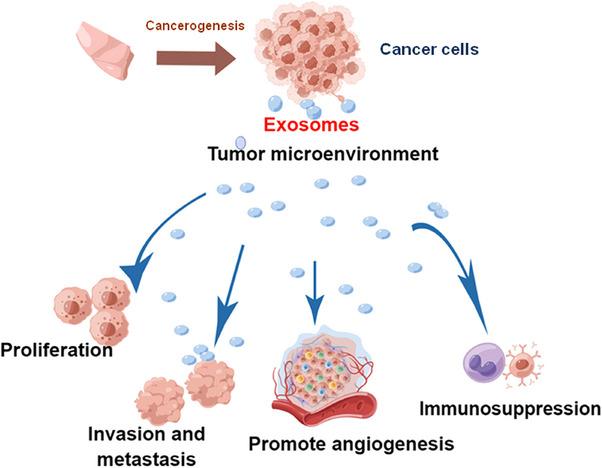 https://cdn.ncbi.nlm.nih.gov/pmc/blobs/488a/11380050/041fa8196404/MCO2-5-e709-g001.jpg