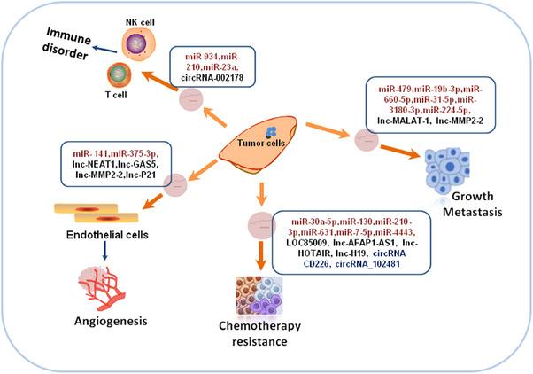 https://cdn.ncbi.nlm.nih.gov/pmc/blobs/488a/11380050/d63cc8f7b002/MCO2-5-e709-g003.jpg