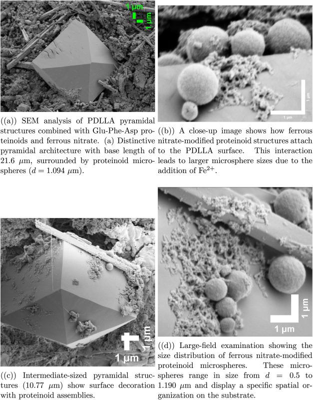 https://cdn.ncbi.nlm.nih.gov/pmc/blobs/488a/12164352/fe5bcacb6338/la5c00932_0002.jpg