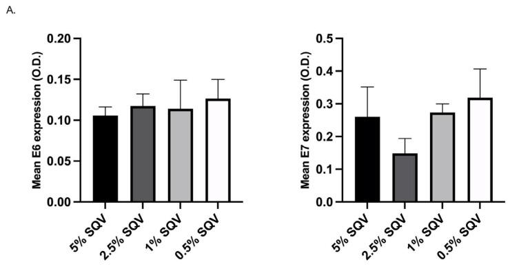 https://cdn.ncbi.nlm.nih.gov/pmc/blobs/488d/10146494/6adfc2e95640/viruses-15-01013-g001a.jpg