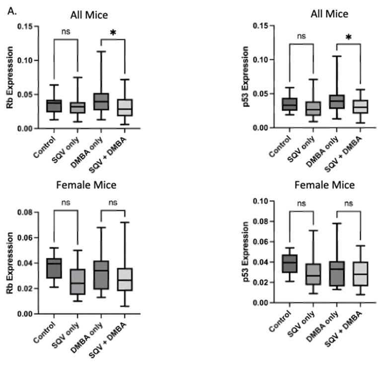 https://cdn.ncbi.nlm.nih.gov/pmc/blobs/488d/10146494/88eace2b6250/viruses-15-01013-g005a.jpg