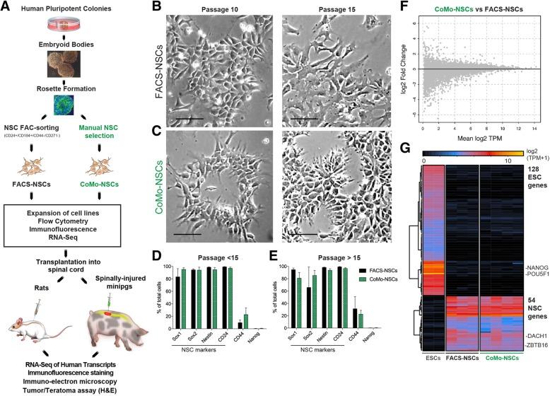https://cdn.ncbi.nlm.nih.gov/pmc/blobs/4890/6417180/7bf68a5d8aa8/13287_2019_1163_Fig1_HTML.jpg