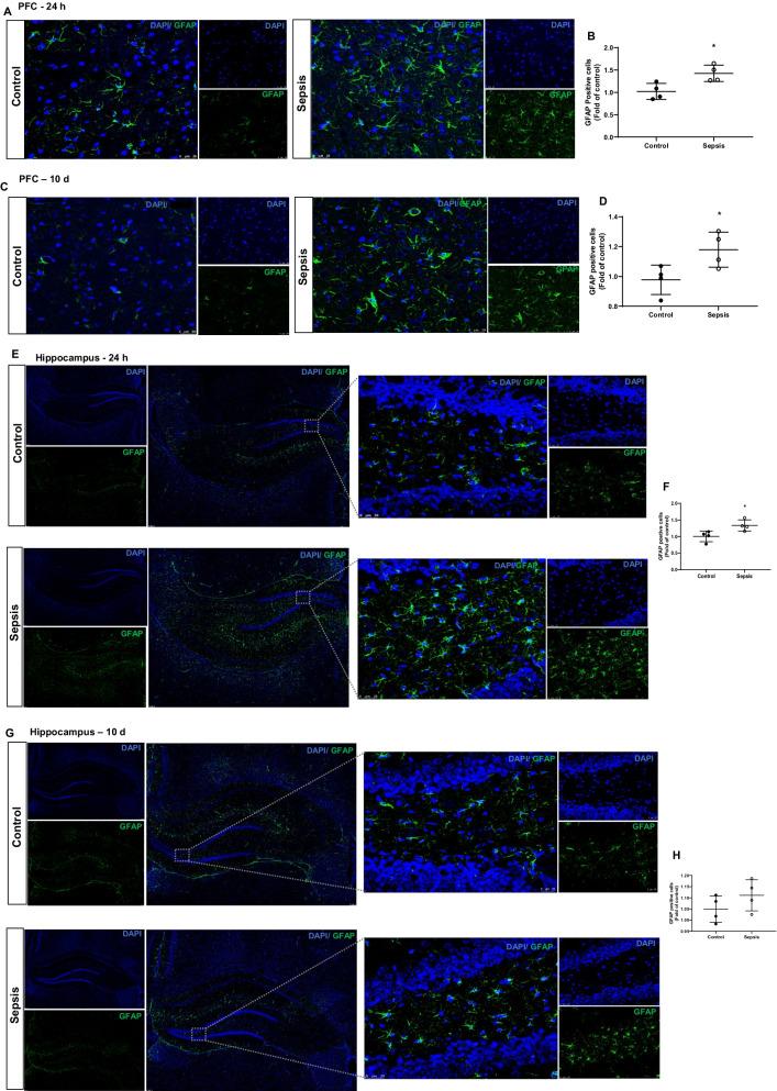 https://cdn.ncbi.nlm.nih.gov/pmc/blobs/4893/9125851/b54cbad45492/12974_2022_2472_Fig6_HTML.jpg