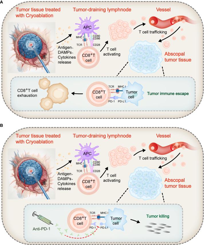 https://cdn.ncbi.nlm.nih.gov/pmc/blobs/4897/10881233/fed0fb5a7859/fonc-14-1323070-g002.jpg