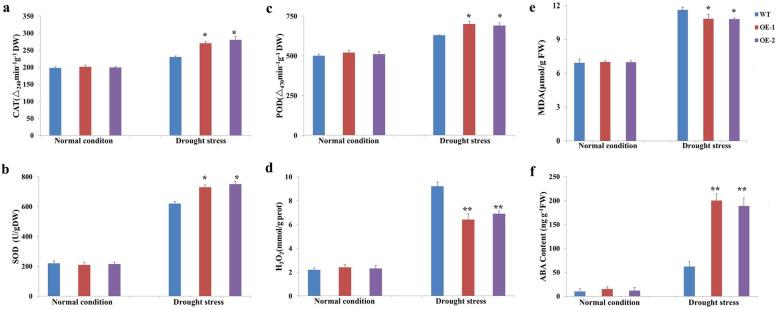 https://cdn.ncbi.nlm.nih.gov/pmc/blobs/4897/8594184/9897f4a5c44e/12870_2021_3318_Fig5_HTML.jpg