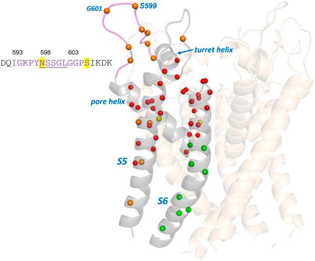 https://cdn.ncbi.nlm.nih.gov/pmc/blobs/4899/9632996/628e63bc10a2/fphar-13-1010119-g004.jpg