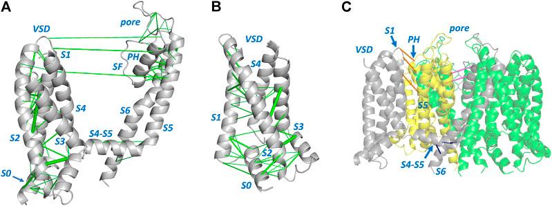 https://cdn.ncbi.nlm.nih.gov/pmc/blobs/4899/9632996/ac55c4966461/fphar-13-1010119-g001.jpg