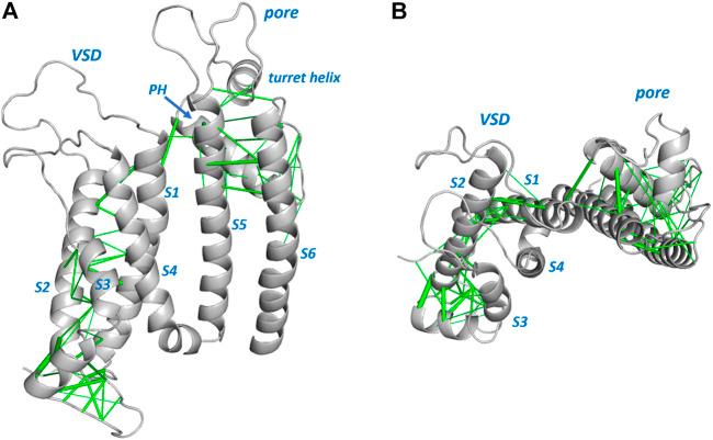 https://cdn.ncbi.nlm.nih.gov/pmc/blobs/4899/9632996/e73804e2c950/fphar-13-1010119-g002.jpg