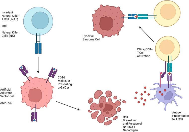 https://cdn.ncbi.nlm.nih.gov/pmc/blobs/489b/9905840/0df105fb14d4/fonc-13-1123464-g002.jpg