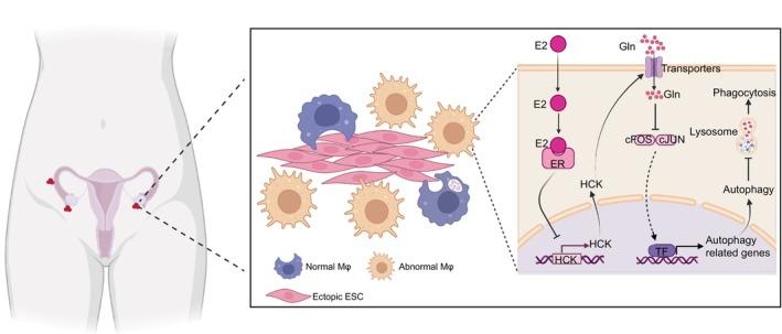 https://cdn.ncbi.nlm.nih.gov/pmc/blobs/489c/11533058/0f8cac39bea3/CPR-57-e13702-g010.jpg
