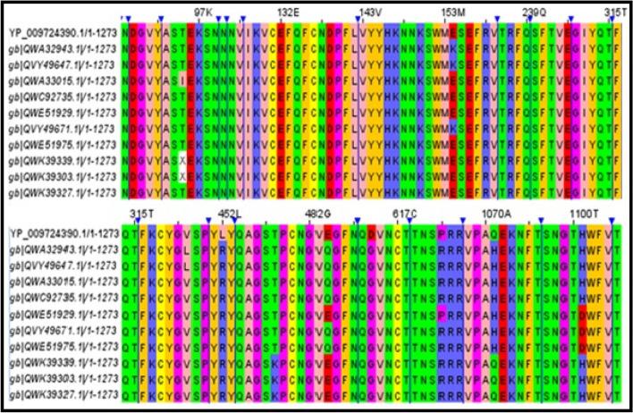 https://cdn.ncbi.nlm.nih.gov/pmc/blobs/489d/10027984/4603388fd6e1/43141_2023_492_Fig1_HTML.jpg