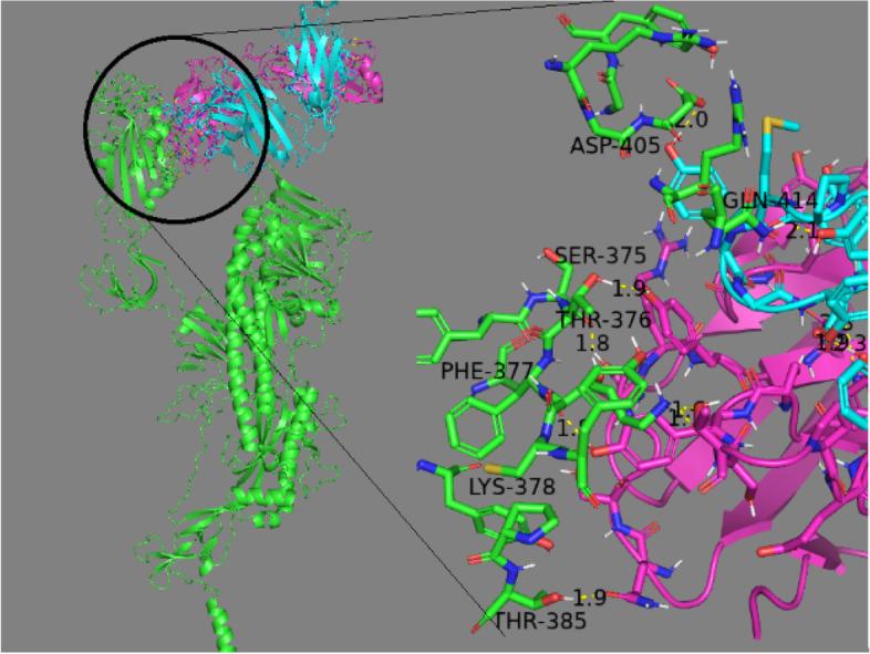 https://cdn.ncbi.nlm.nih.gov/pmc/blobs/489d/10027984/766c5cb5ca4d/43141_2023_492_Fig7_HTML.jpg