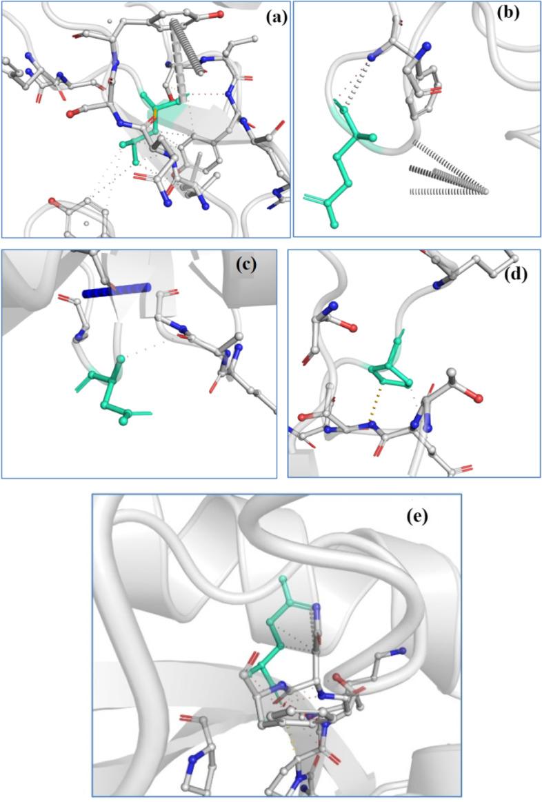 https://cdn.ncbi.nlm.nih.gov/pmc/blobs/489d/10027984/8f1c4b9d3667/43141_2023_492_Fig3_HTML.jpg