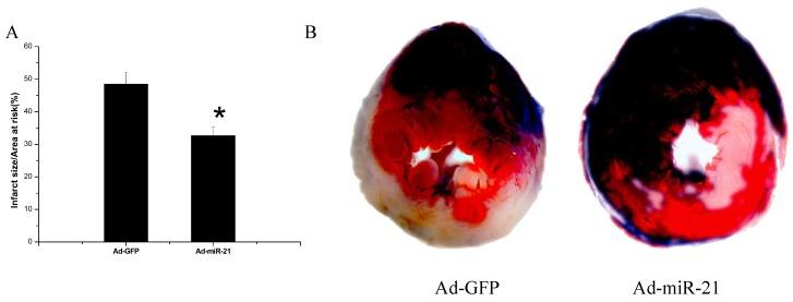https://cdn.ncbi.nlm.nih.gov/pmc/blobs/489e/3410360/d5cb1340cccc/ijmsv09p0413g03.jpg