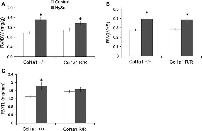 https://cdn.ncbi.nlm.nih.gov/pmc/blobs/489f/4908492/9bac836bbf74/PHY2-4-e12815-g001.jpg