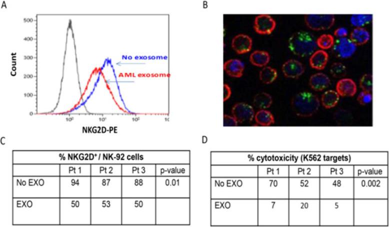 https://cdn.ncbi.nlm.nih.gov/pmc/blobs/48a0/11759217/09ce281fcadc/jitc-13-1-g002.jpg