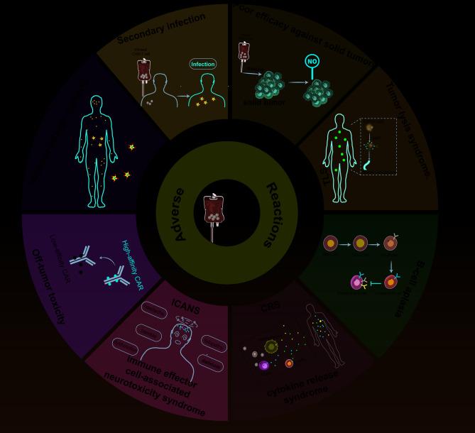https://cdn.ncbi.nlm.nih.gov/pmc/blobs/48a2/12224691/3a6116bd47d7/40164_2025_683_Fig3_HTML.jpg