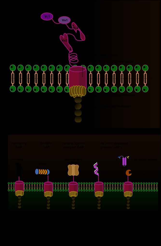 https://cdn.ncbi.nlm.nih.gov/pmc/blobs/48a2/12224691/9e556b616bc4/40164_2025_683_Fig1_HTML.jpg