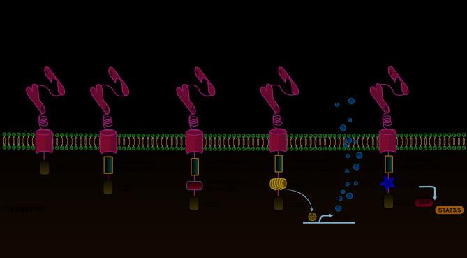 https://cdn.ncbi.nlm.nih.gov/pmc/blobs/48a2/12224691/f6ab5eaf052c/40164_2025_683_Fig2_HTML.jpg