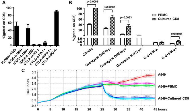 https://cdn.ncbi.nlm.nih.gov/pmc/blobs/48a6/9659750/ad08225117f8/fbioe-10-1027619-g004.jpg