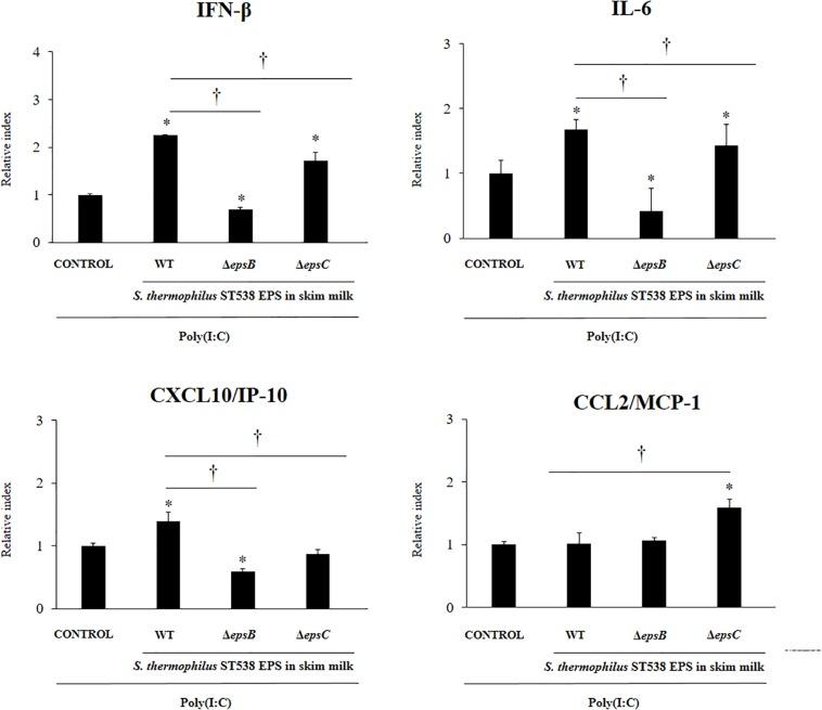 https://cdn.ncbi.nlm.nih.gov/pmc/blobs/48a7/7248278/813ca8961784/fmicb-11-00894-g007.jpg