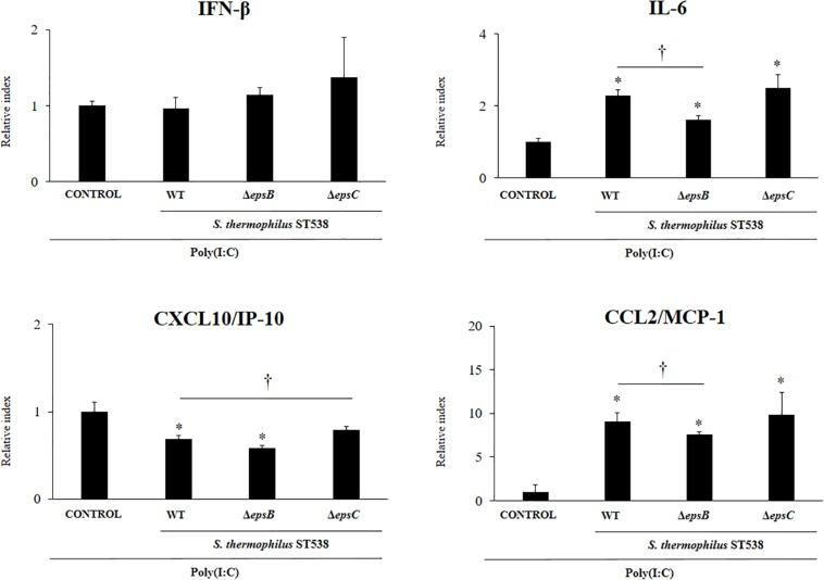 https://cdn.ncbi.nlm.nih.gov/pmc/blobs/48a7/7248278/acc951b7e1a6/fmicb-11-00894-g004.jpg
