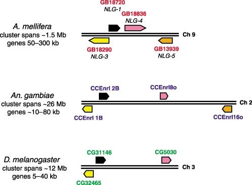 https://cdn.ncbi.nlm.nih.gov/pmc/blobs/48a9/1761136/bbfb7741f7bb/imb0015-0615-f5.jpg